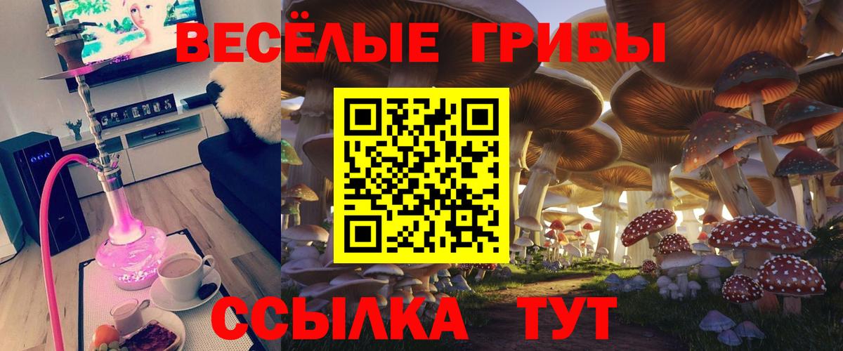 Лсд 25  МЕТАДОН  Где купить наркотики?  Вход с VPN  Мефедрон   Нижнеудинск  ЭКСТАЗИ  Гашиш  Конопля  Кокаин  А ПВП СК  