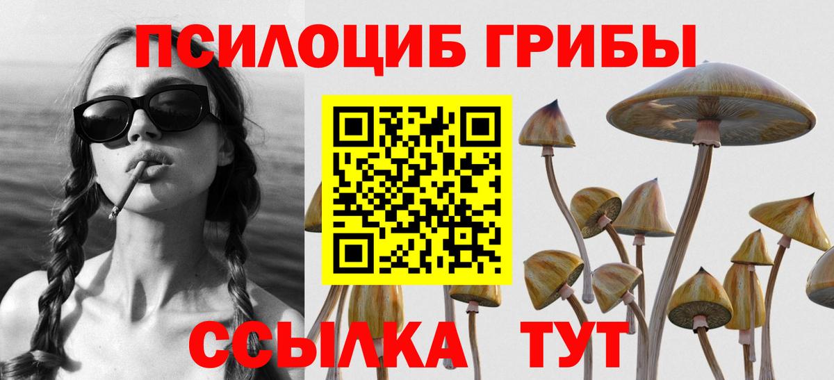Псилоцибиновые грибы ЛСД  Вход с VPN  Нижнеудинск 